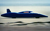 Bluebird Electric
