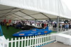 Bluebird at the Green Supercar Paddock